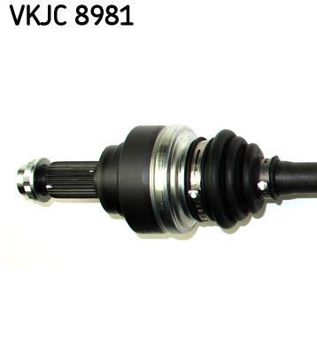 Cardan SKF ref. VKJC 8981